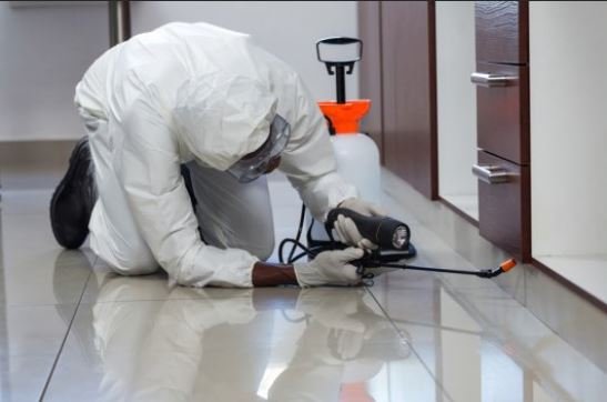 QCare Pest Control Doha