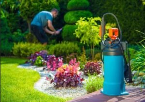 QCare Pest Control Doha
